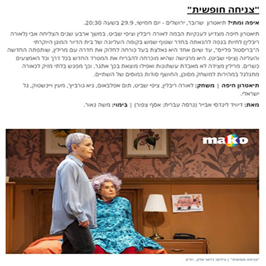 תיאטרון חיפה - ההצגה צניחה חופשית